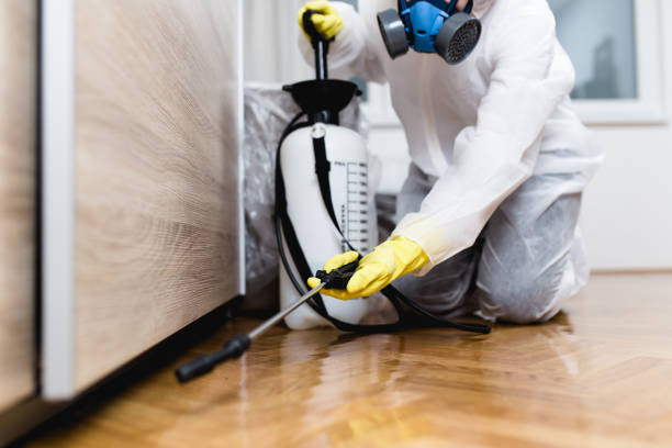 Best Pest Prevention Services  in Bay, AR