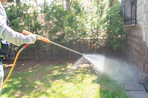 Best Pest Control Cost  in Bay, AR